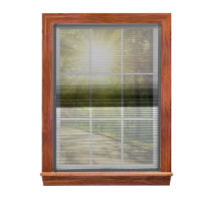 PET insect screen for pleated window