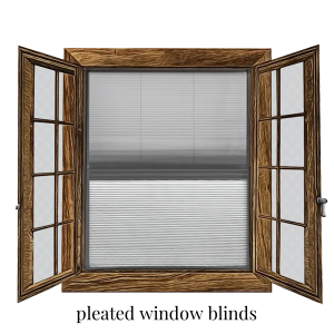 Pleated window blinds